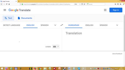 google translate magyar english